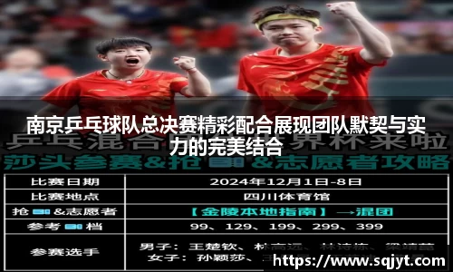 南京乒乓球队总决赛精彩配合展现团队默契与实力的完美结合